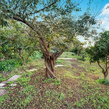 Casa La Victoria * La Victoria de Acentejo