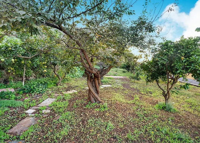 Casa La Victoria * Ла-Виктория-де-Асентехо